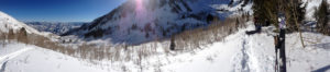 photo 1 (8)